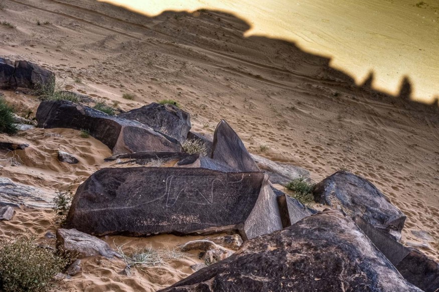 Grabados prehistóricos en el desierto, Argelia. © mateoht 1990-2013 - http://lafotodeldia.net